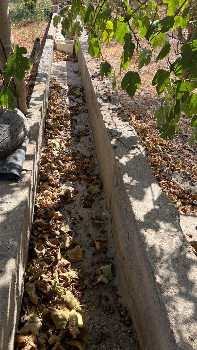 43_1_Azequia_Cortijo Chuche