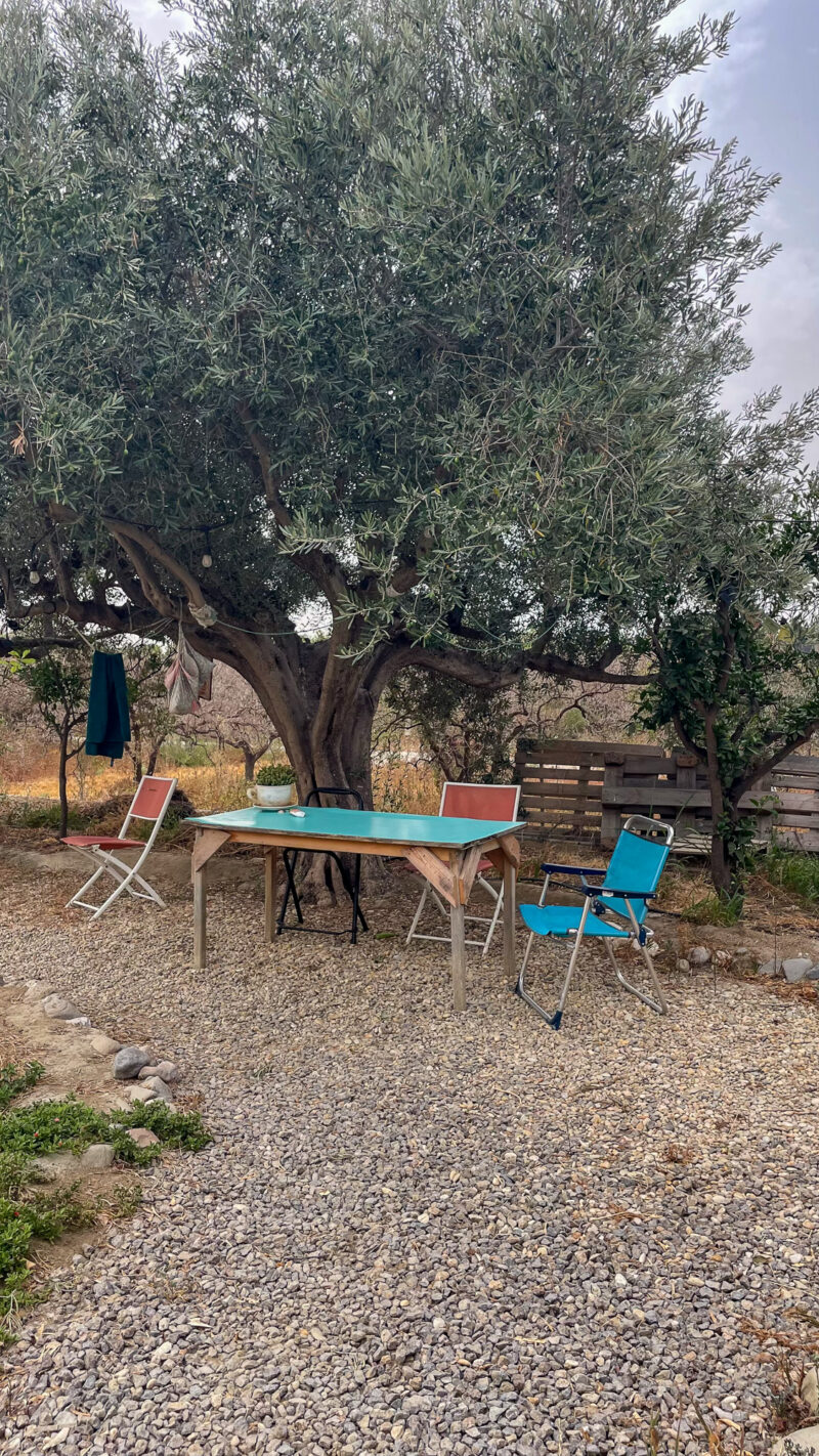 44_Jardin Cortijo Chuche