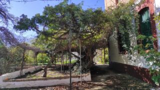 Bentarique_Molino-28