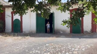 Bentarique_Molino-44