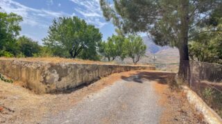 Bentarique_Molino-45