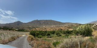 Bentarique_Molino-46