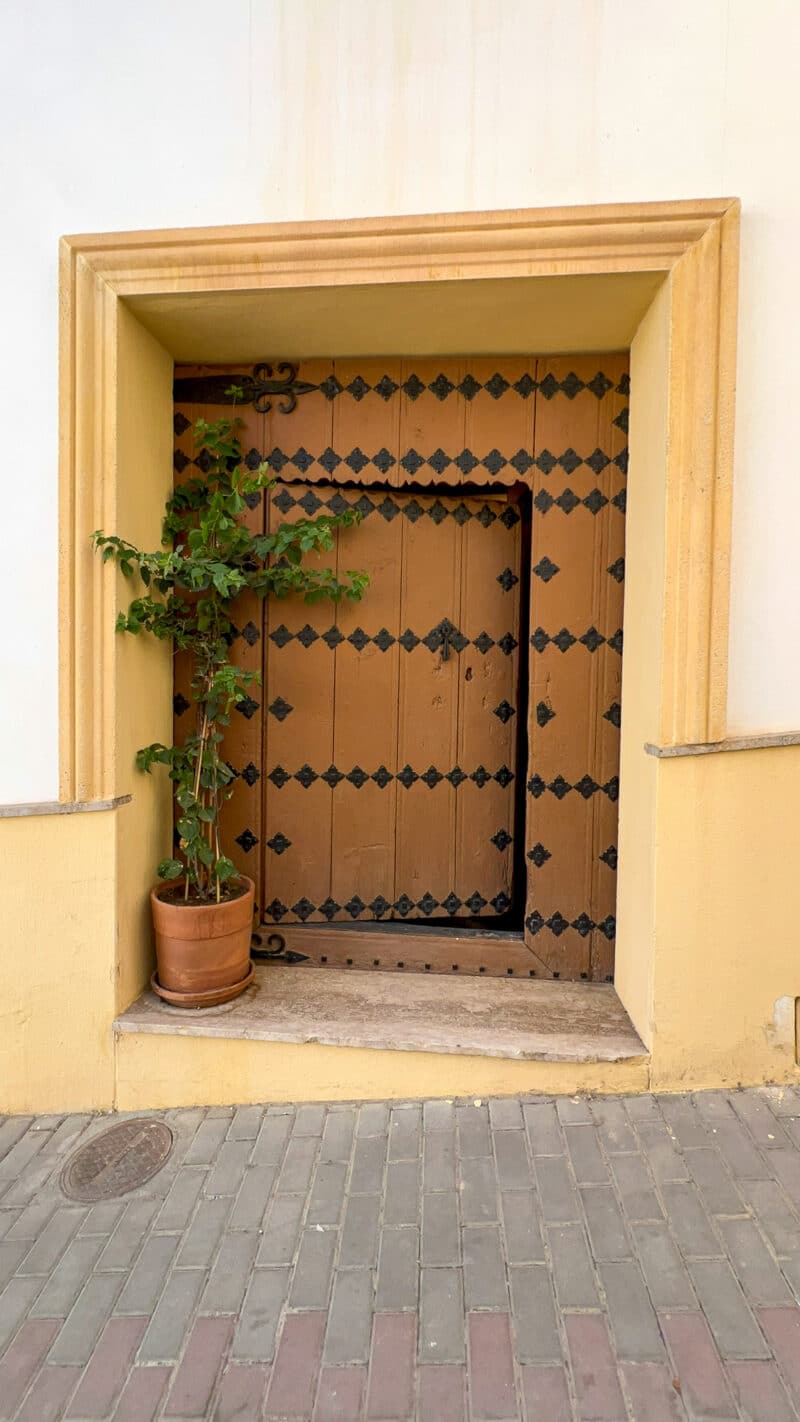Puerta Bodega - Casa Instinción