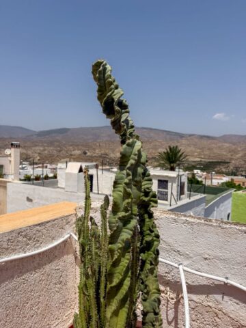 Vistas del balcon