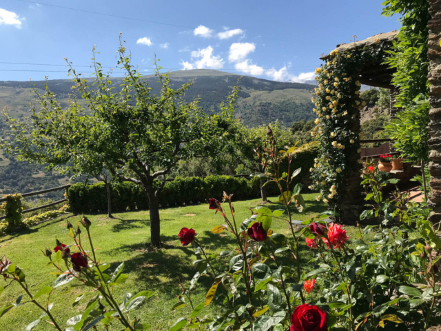 Cortijo en Capileira jardin 2