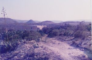 buy-properties-spain