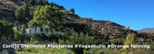 Cortijo In Instincion for Sale with Yogastudio and Orange Grove