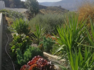 Vistas y jardines - Molino Mio Lucar Vistas y jardines - Molino Mio Lucar