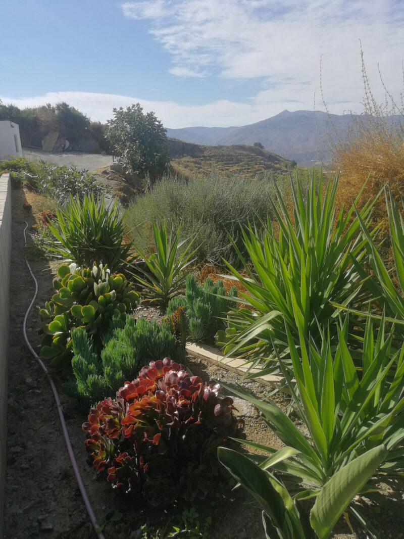 Vistas y jardines - Molino Mio Lucar Vistas y jardines - Molino Mio Lucar
