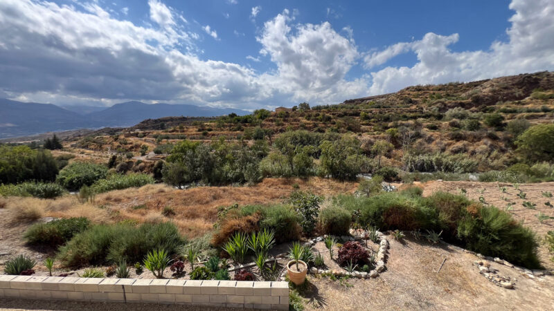 Exteriores - Molino Mio Lucar Exteriores - Molino Mio Lucar