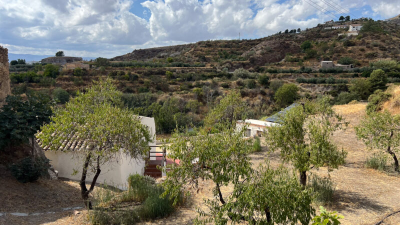 Exteriores - Molino Mio Lucar Exteriores - Molino Mio Lucar