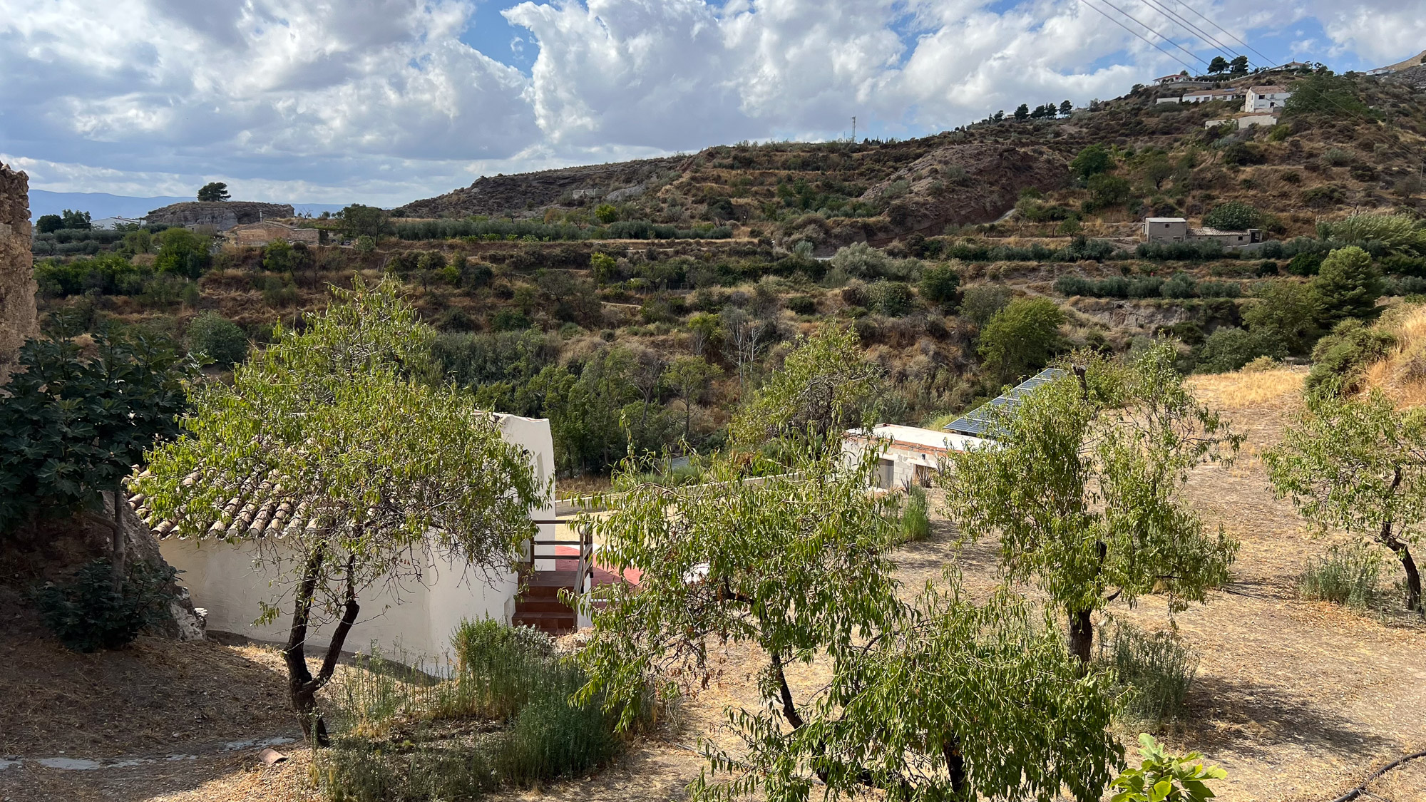 Exteriores - Molino Mio Lucar Exteriores - Molino Mio Lucar