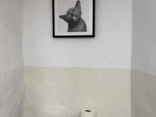 Estudio Baño - Molino Mio Lucar Estudio Baño - Molino Mio Lucar