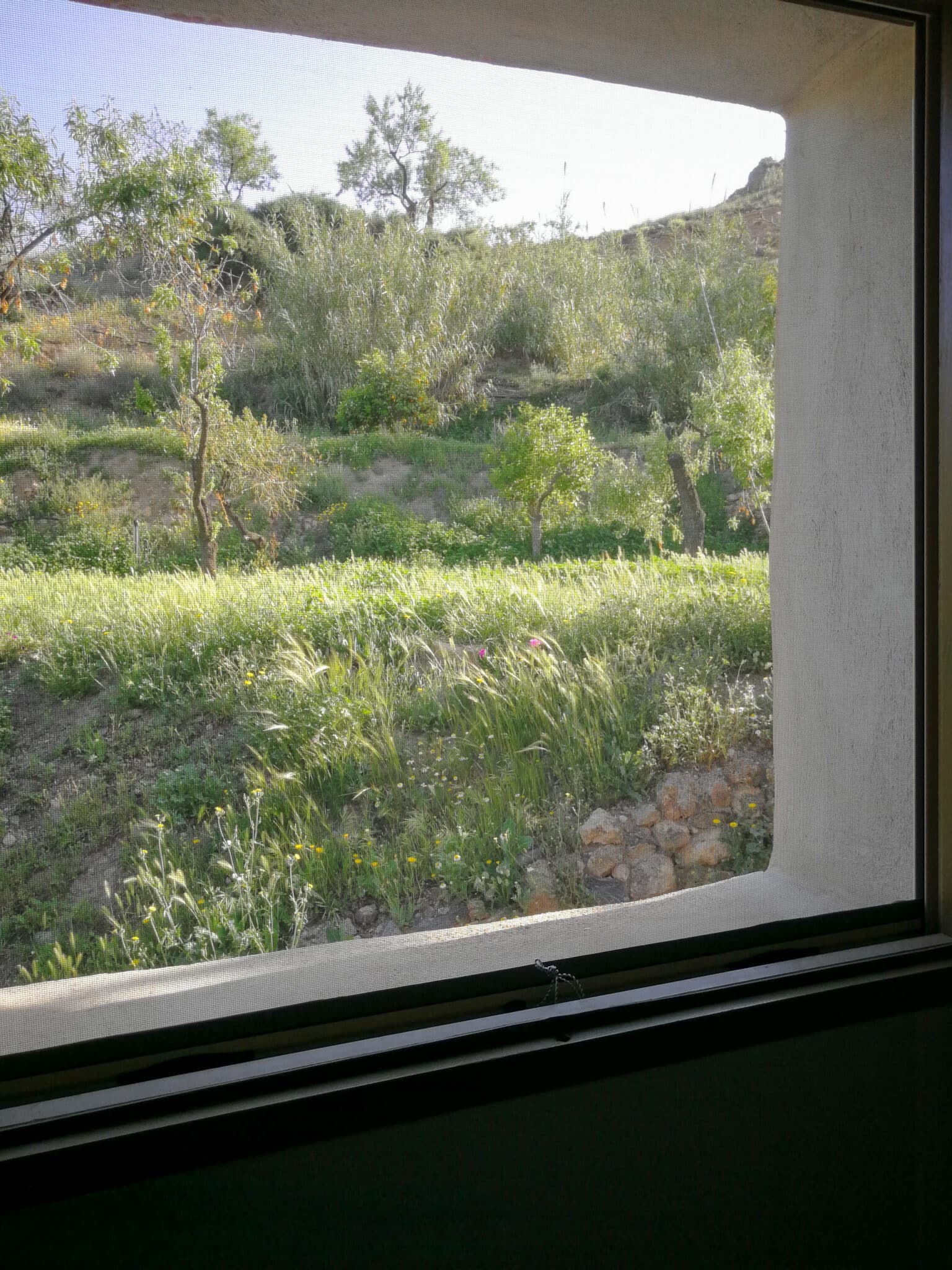Vista Baño Apartamento - Molino Mio Lucar Vista Baño Apartamento - Molino Mio Lucar