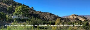 Cortijo Instincion Almeria