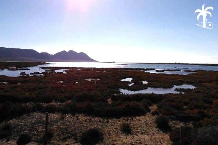 cabo de gata las salinas en almería