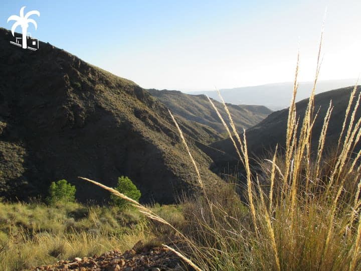 vivir en almería